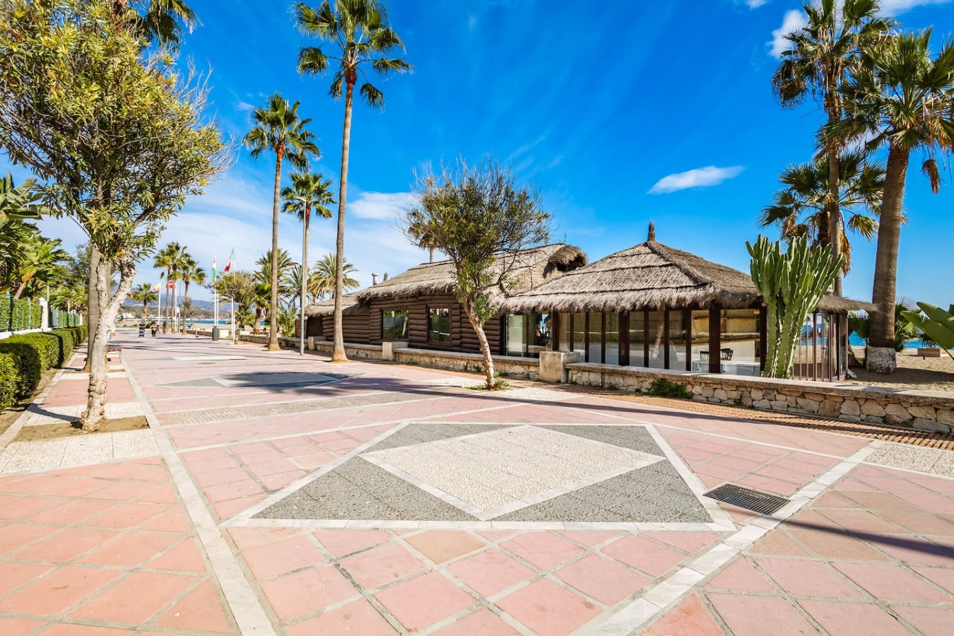 Front Line Beach Playa Rocio Puerto Banus